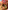 Apex Legends: The Official Cookbook