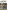 Tanks in the Battle of Germany 1945: Western Front