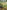 Furrow (Mini Edition)