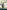 Nature et tremblements