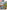 LEGO® Star Wars™: Where’s Yoda? A Search and Find Adventure