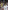 Wimbledon 2023: The Official Review of The Championships