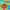 My First Brain Quest: Feelings: A Question-and-Answer Book