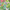 Adult Jigsaw Puzzle: Bex Parkin: Cactus Garden: 1000-piece Jigsaw Puzzles