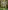 Great Outdoors U.S.A.: 1,000 Adventures Across All 50 States