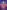 The Whistlers in the Dark: Longlisted for the Young Quills Prize 2024