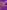 First Flight Feathers: The Best of Worship Live