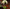 The Art of Teenage Mutant Ninja Turtles: Mutant Mayhem