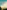 Escape to Florence: A Novel