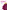 Psychology Express: Developmental Psychology