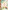 Brambly Hedge: Festive Colouring Book