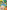 CoComelon: Hide-and-Seek: An Early Learning Search and Find Book