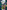 Young Justice Omnibus Vol. 1
