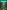 Amazonia Vol. 1: Episode 1
