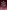 The Confession of a Child of the Century — Complete (Edition2023)