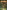 Amazonia Vol. 2: Episode 2