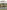 Tanks in the Philippines 1944–45: The biggest armored clashes of the Pacific War