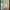 Altair Design Pattern Pad No.2: Imagination in Art