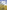 The Summer Meadow: Forty Acres of Shared Earth