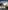 Residential Design Using Autodesk Revit 2025