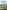 Infantry in Battle 1733-1783