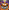 The Pumpkin Who Stole Halloween (PB)