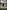 MACCA: My Story So Far