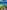 Blue Flax & Yellow Mustard Flower: Poems