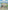 Monet: The Bigger Picture