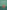 Tantric Knowledge: Philosophy, History, Practice