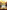 Revelationary War, The