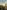 German Philosophy 1760–1860: The Legacy of Idealism