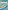 Battleship New Jersey: The Complete History