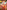 Tenali Rama: Classic indian Stories