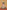 Tilopa's Mahamudra Upadesha: The Gangama Instructions with Commentary