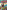 The World of Dinosaurs by Jurassic Explorers 2026 Edition