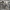 Collective States: Worlds of Photography at the Art Gallery of Ontario