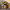 Cardboard Vase Sleeve - Yellow Stripy