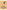 Science in Archaeology: Case Study of Neolithic Culture in South India