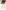 What Daddy Did by Donna Ford (Author)