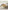Food and Cooking of Slovenia