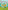 Where on Earth?: Band 11/Lime