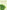 Green for Life: The Updated Classic on Green Smoothie Nutrition