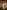 Warrior of Rome II: King of Kings