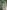 Backdoor Tales: Tears of the Serpent September Love - 9781483618333