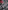 Niki Lauda: His Competition History