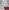 Assassin's Creed Unity: Abstergo Entertainment: Employee Handbook
