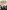 The End of the Habsburgs: The Decline and Fall of the Austrian Monarchy