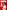 Andy Robertson: Robbo: Now You'Re Gonna Believe Us: Our Year, My Story