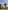 The Scottish Country House